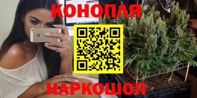 PSILOCYBIN Мариинск